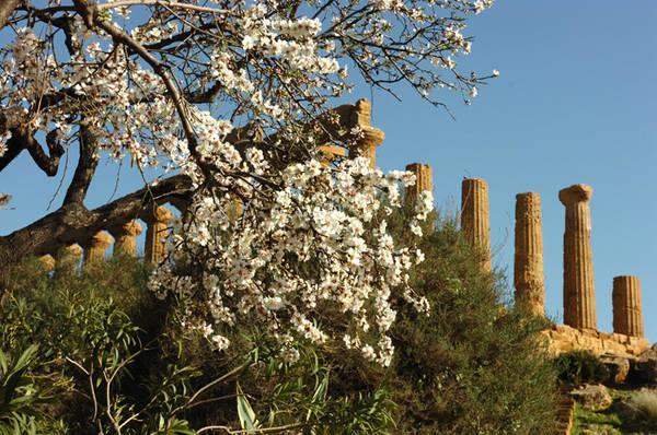 Casa Di Nonna Gina Leilighet Agrigento Eksteriør bilde
